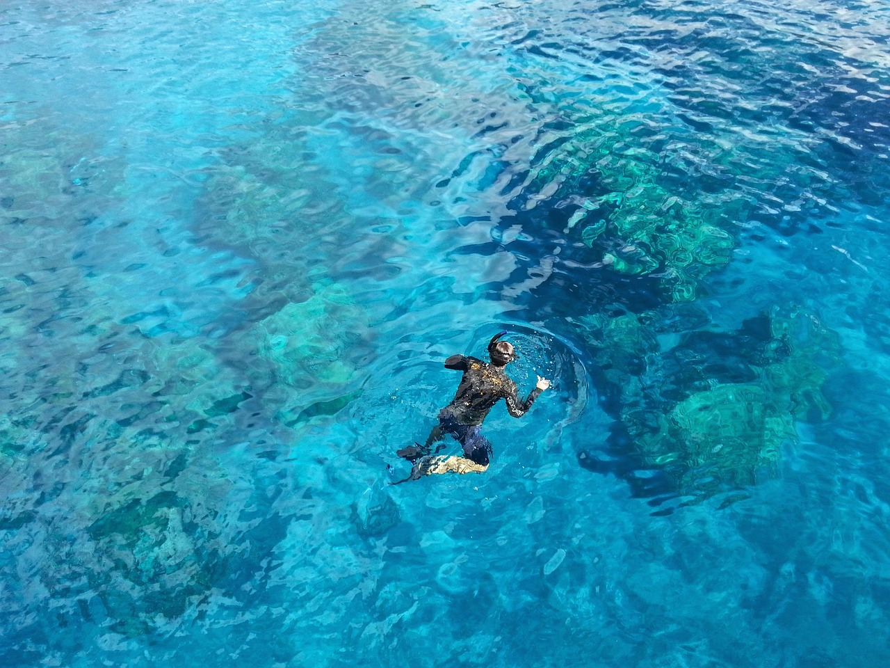 Marine conservation efforts supported by tourism