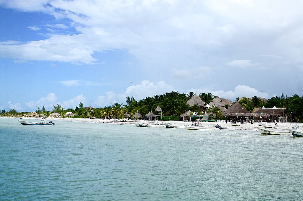 Whale shark near the surface at Isla Holbox