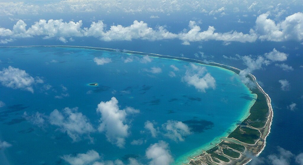 Grey reef sharks at Tikehau atoll