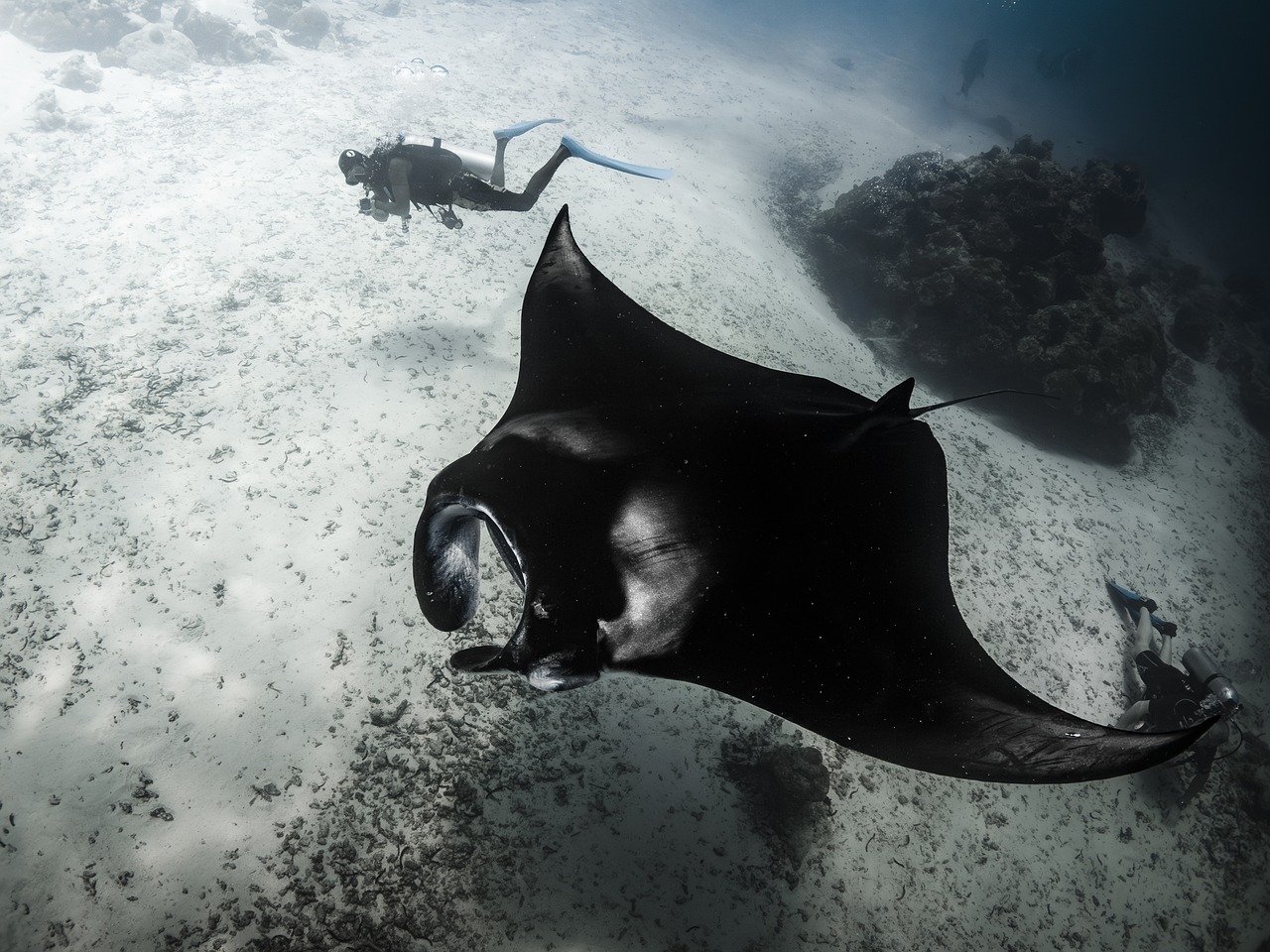 Voyatlas Community Feed