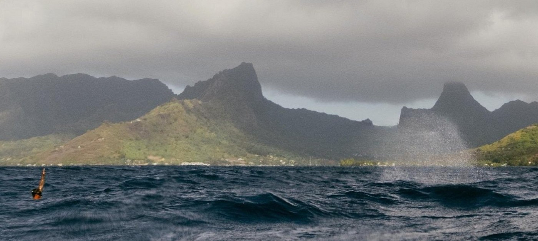 Whale watching background